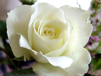 R58