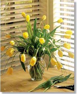flower29