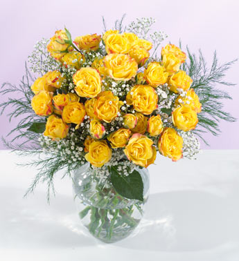 rose1
