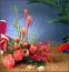 flower37