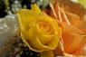 roseac