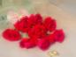 roseb006