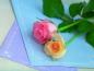 rosec001
